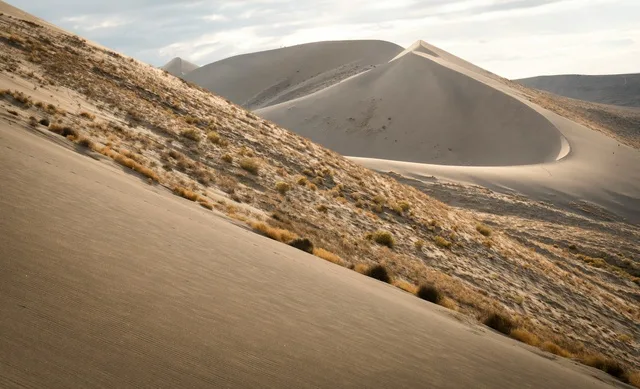 View of the towering sand dunes at Bruneau Sand Dunes State Park, Idaho.