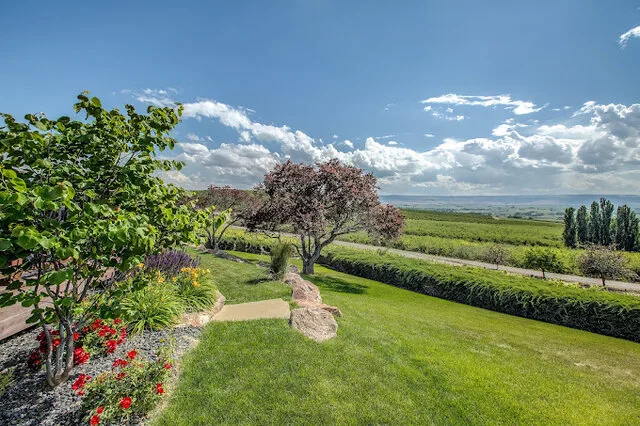 A scenic view of a lush vineyard in Caldwell, Idaho, with rolling hills in the background.